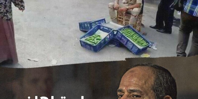 بلحة أهان كرامة مصر